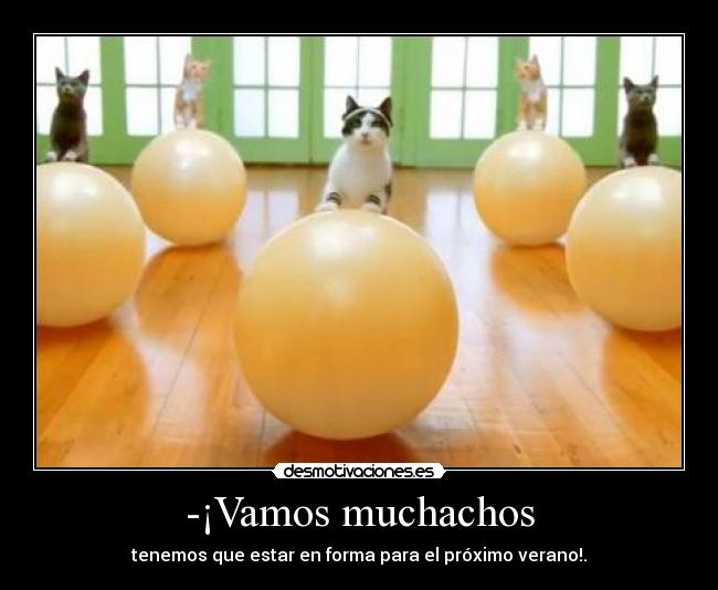 -¡Vamos muchachos - 