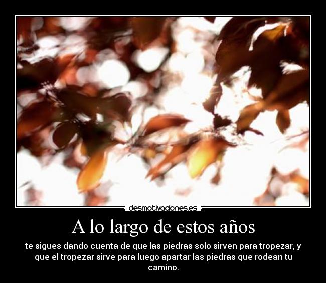 A lo largo de estos años - te sigues dando cuenta de que las piedras solo sirven para tropezar, y
que el tropezar sirve para luego apartar las piedras que rodean tu
camino.