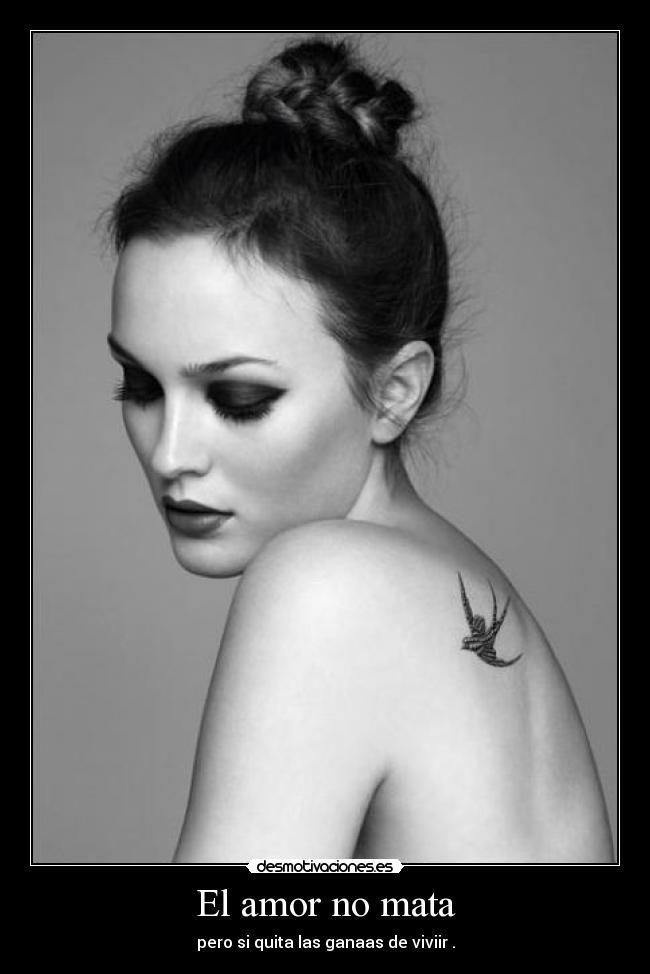 carteles amor amor mata quita ganas vivir desmotivaciones