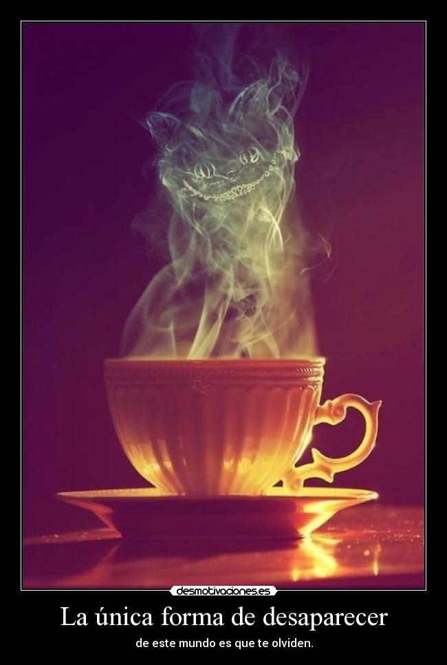 La única forma de desaparecer - 