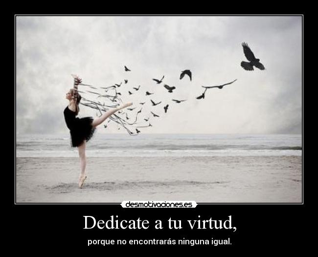Dedicate a tu virtud, - porque no encontrarás ninguna igual.