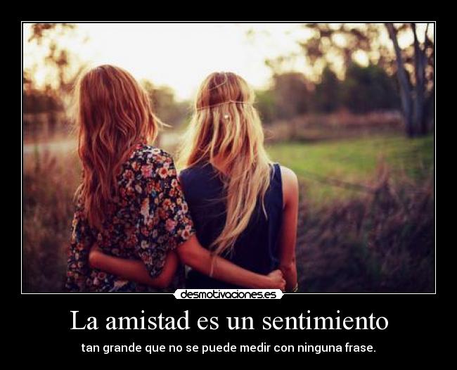 La amistad es un sentimiento - tan grande que no se puede medir con ninguna frase.