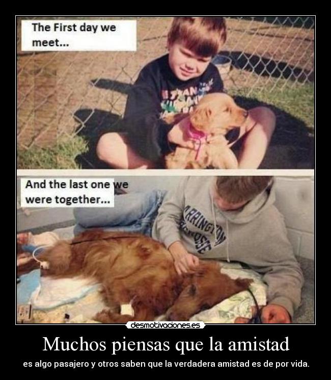 Muchos piensas que la amistad -