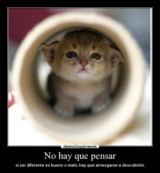 No hay que pensar - si ser diferente es bueno o malo; hay que arriesgarse a descubrirlo.