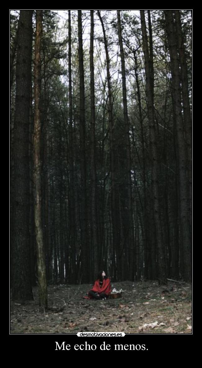 Me echo de menos. -