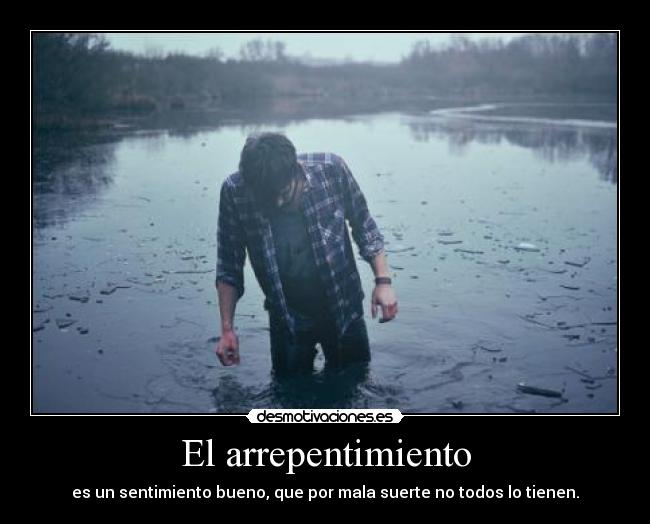 carteles americus las ovejas son sexys arrepentirse bueno desmotivaciones