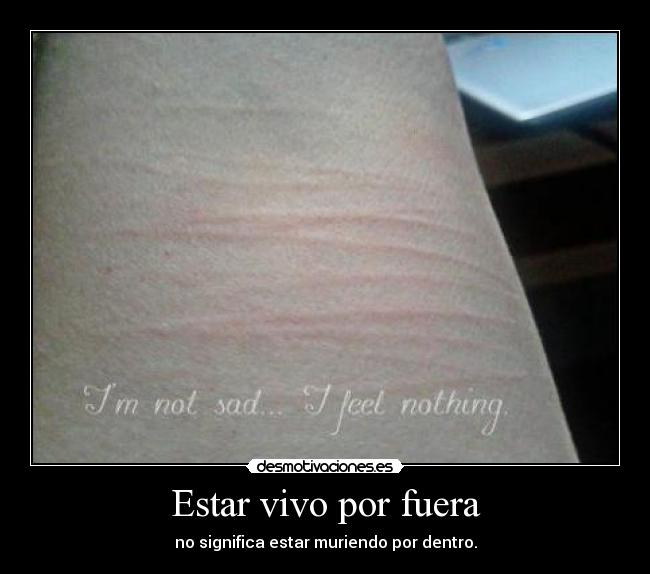 carteles soniavlc98red serio solo pido desaparecer una puta vez que nadie recuerde desmotivaciones