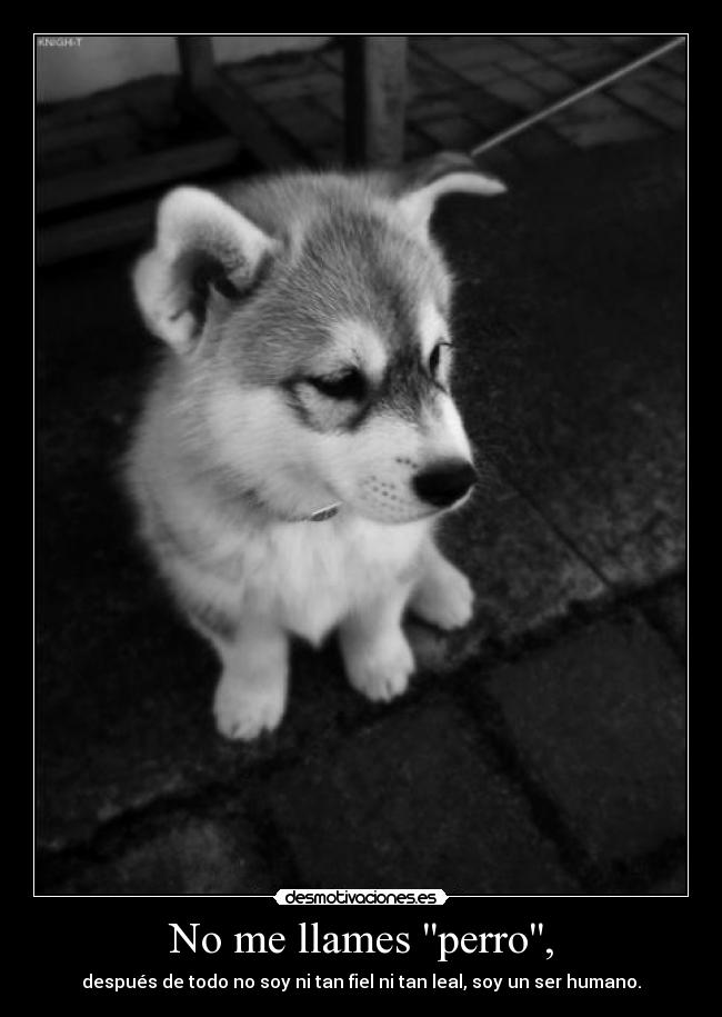 No me llames perro, - después de todo no soy ni tan fiel ni tan leal, soy un ser humano.