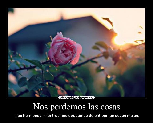 Nos perdemos las cosas - 