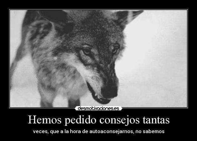 Hemos pedido consejos tantas - 