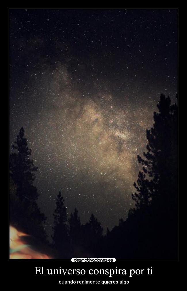 carteles universo true desmotivaciones