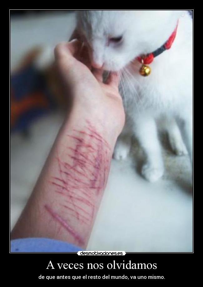 A veces nos olvidamos - de que antes que el resto del mundo, va uno mismo.