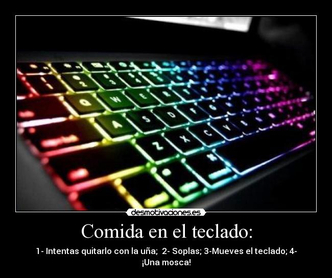 Comida en el teclado: - 1- Intentas quitarlo con la uña;  2- Soplas; 3-Mueves el teclado; 4- ¡Una mosca!