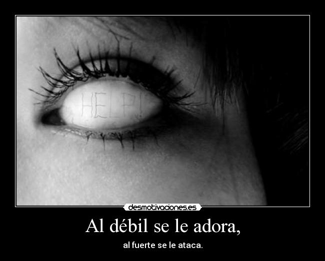 Al débil se le adora, - al fuerte se le ataca.