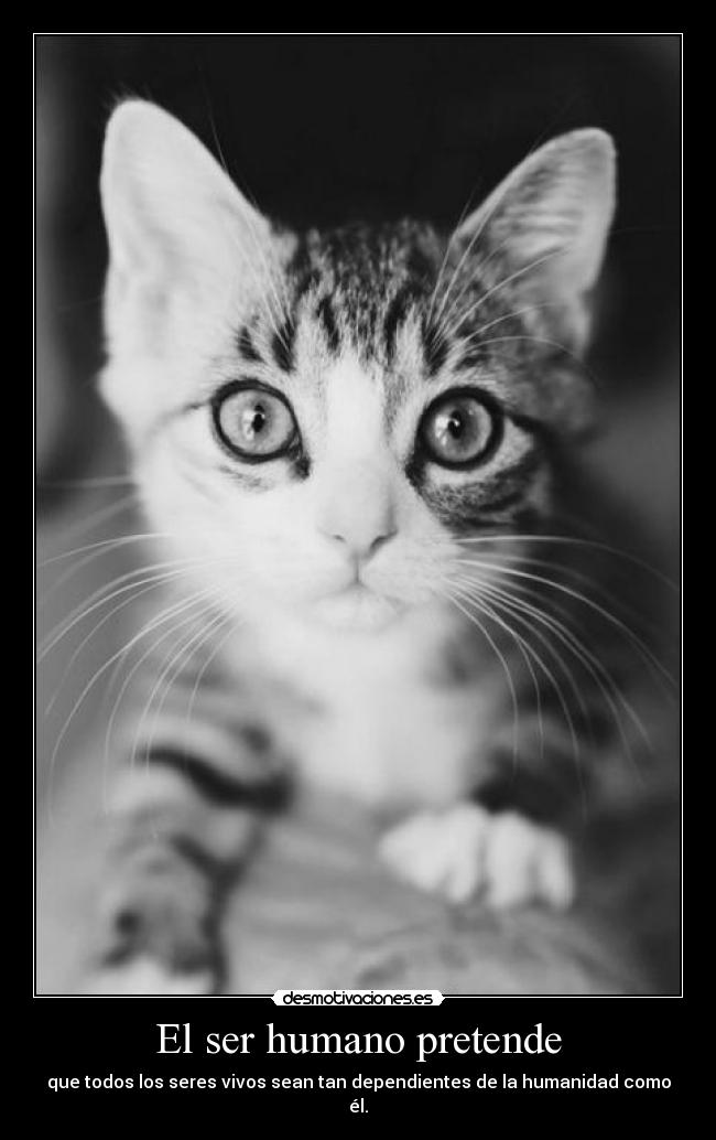 El ser humano pretende - 