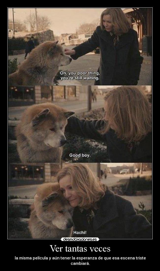 carteles hachi 3era vez que subo estas leyendo mis etiquetas asi que mando abrazo santi desmotivaciones