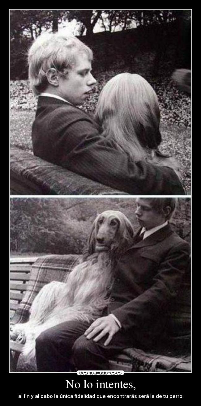 No lo intentes, - al fin y al cabo la única fidelidad que encontrarás será la de tu perro.