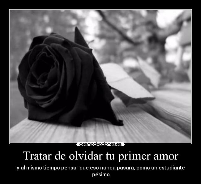 Tratar de olvidar tu primer amor - y al mismo tiempo pensar que eso nunca pasará, como un estudiante pésimo