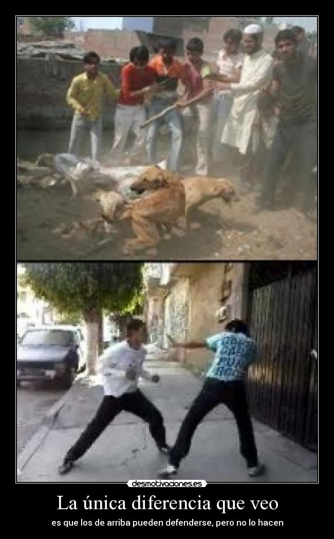La única diferencia que veo - es que los de arriba pueden defenderse, pero no lo hacen