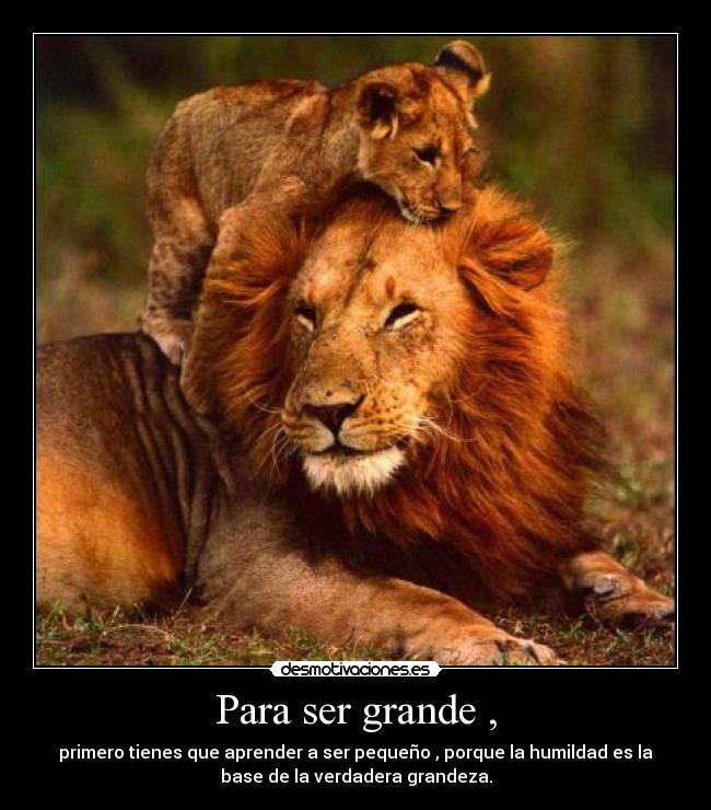 Para ser grande , - primero tienes que aprender a ser pequeño , porque la humildad es la
base de la verdadera grandeza.