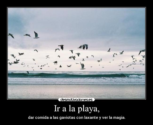 Ir a la playa, - 