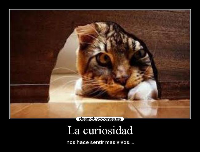La curiosidad - nos hace sentir mas vivos....