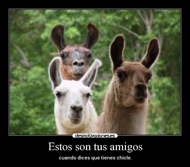 Estos son tus amigos - 