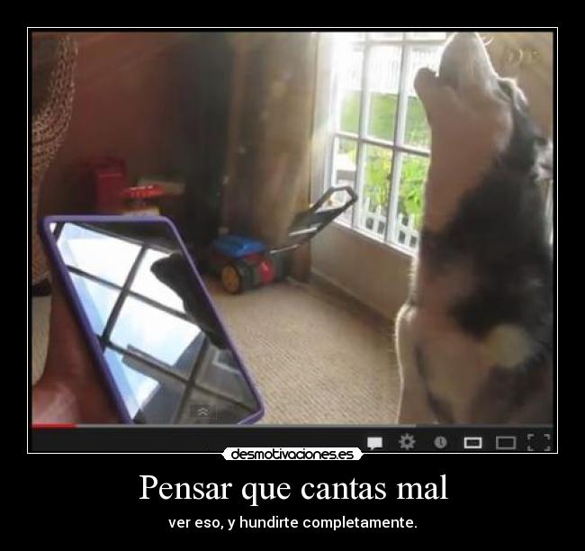 carteles hasta perro canta mejor que xddd desmotivaciones