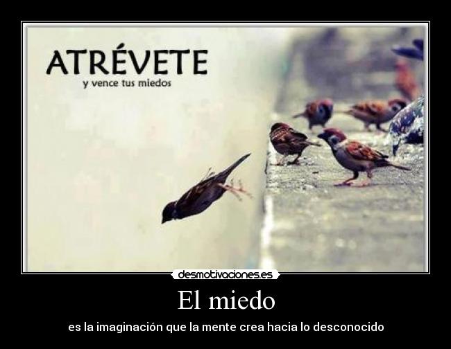 El miedo - es la imaginación que la mente crea hacia lo desconocido