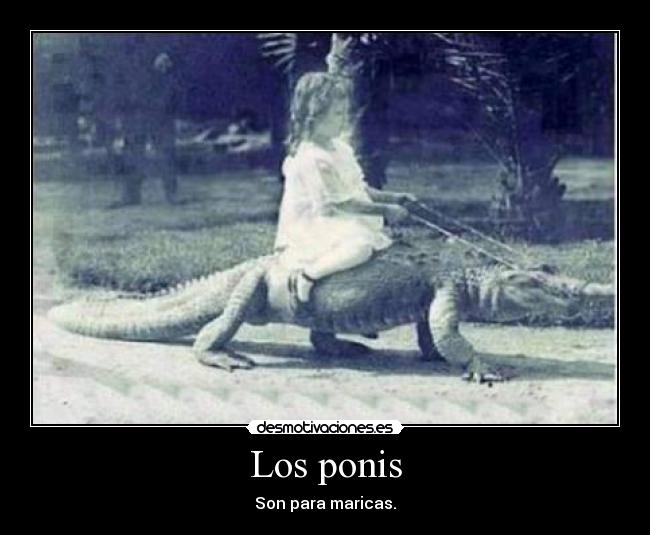 carteles los ponis heheheh desmotivaciones
