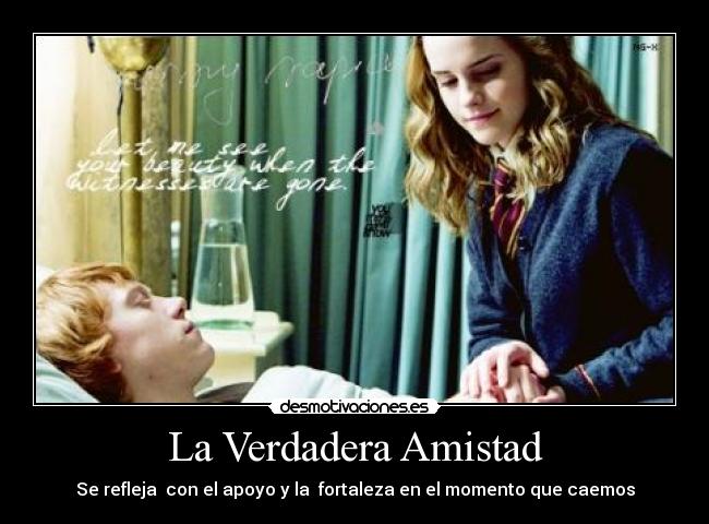 La Verdadera Amistad - Se refleja  con el apoyo y la  fortaleza en el momento que caemos