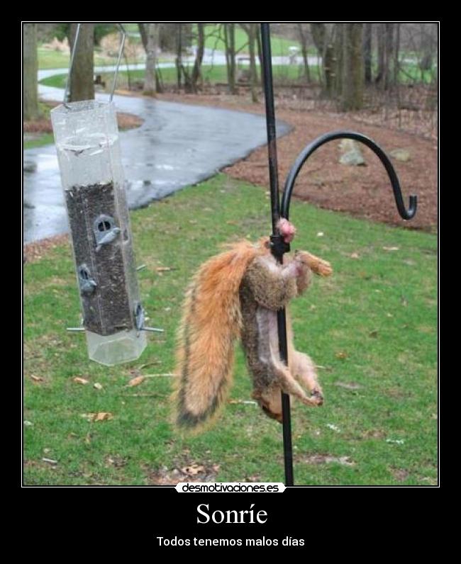 Sonríe - Todos tenemos malos días