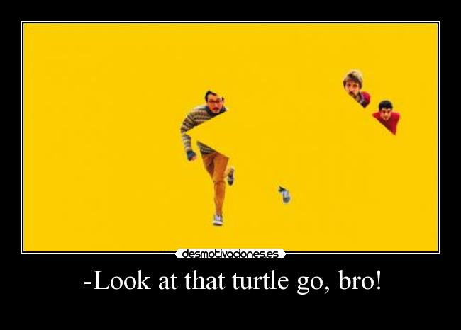 -Look at that turtle go, bro! -