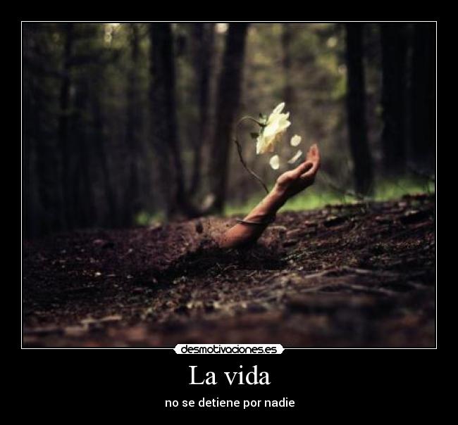 La vida -