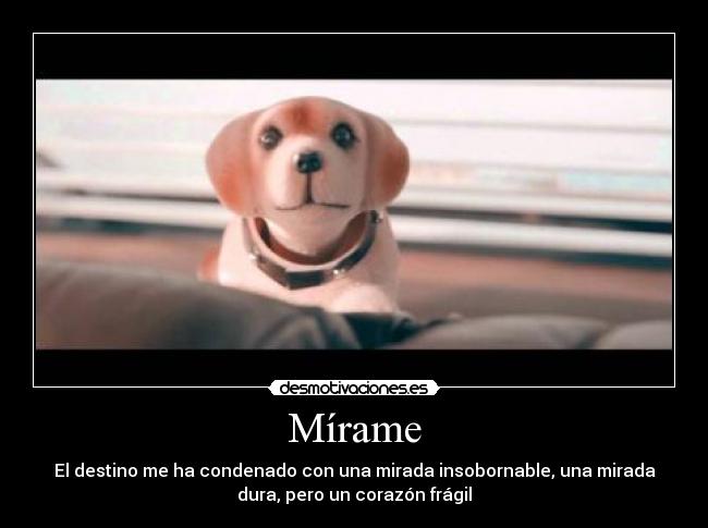 Mírame - El destino me ha condenado con una mirada insobornable, una mirada
dura, pero un corazón frágil
