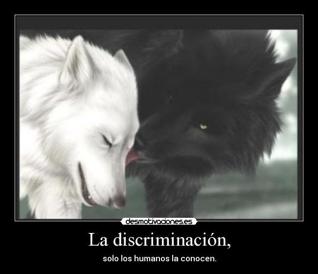 La discriminación, - solo los humanos la conocen.