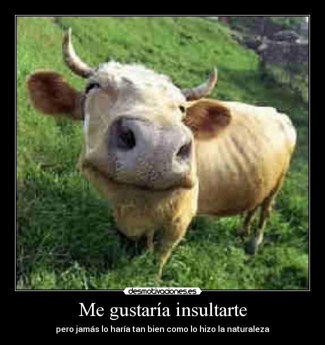 carteles insulto ingenioso refiero para cuando insulten puedes contra atacar desmotivaciones