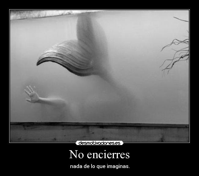 No encierres - 