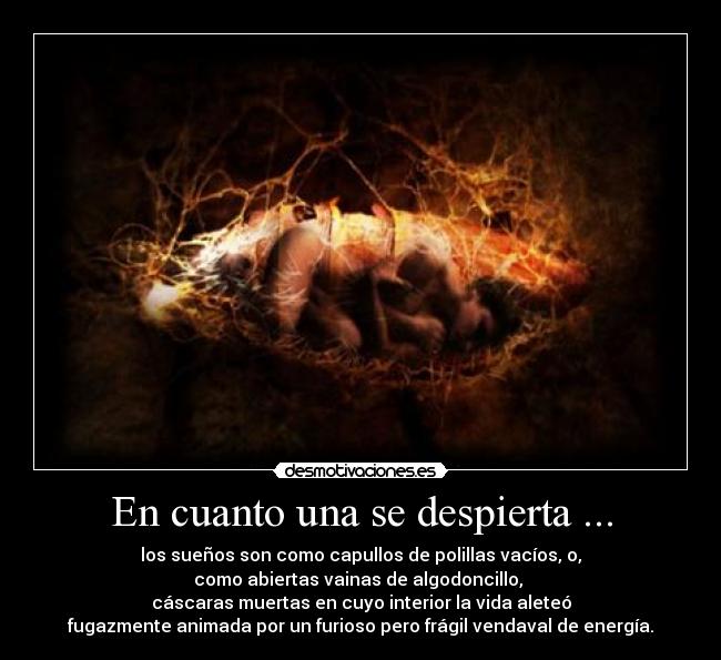 En cuanto una se despierta ... - los sueños son como capullos de polillas vacíos, o,
como abiertas vainas de algodoncillo, 
cáscaras muertas en cuyo interior la vida aleteó
fugazmente animada por un furioso pero frágil vendaval de energía.