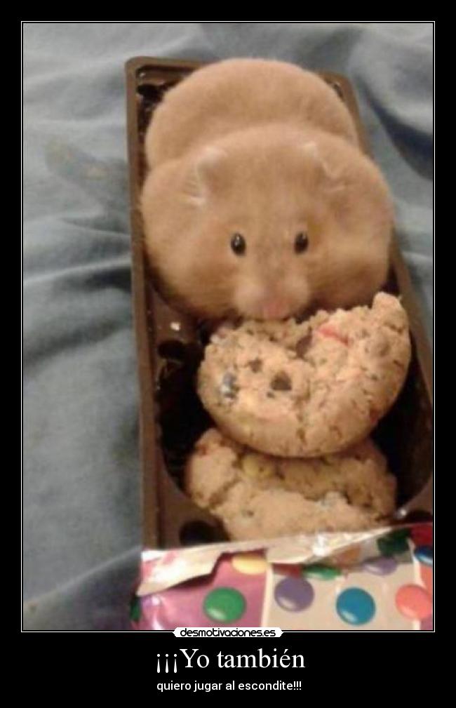 ¡¡¡Yo también - quiero jugar al escondite!!!