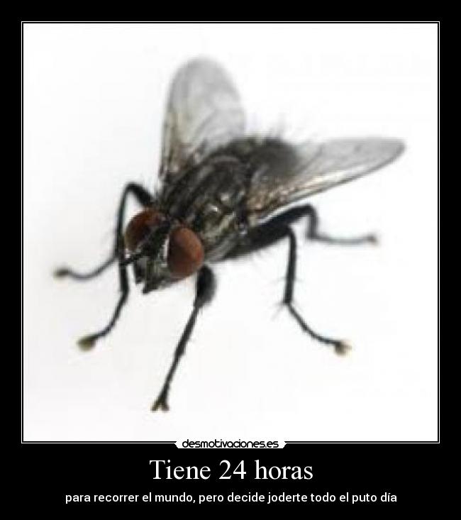 carteles tiene horas desmotivaciones