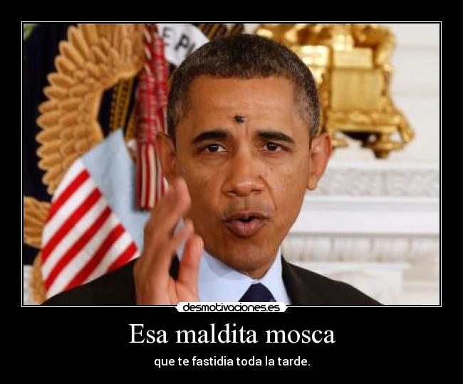 Esa maldita mosca - 