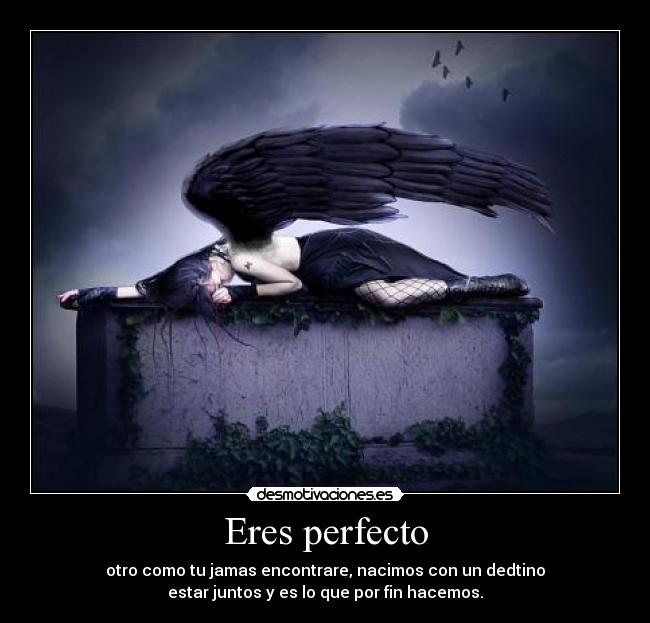 Eres perfecto - 