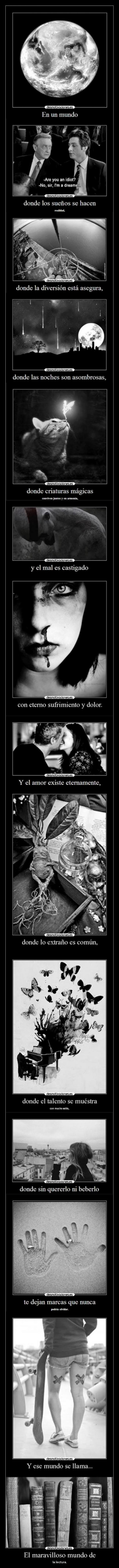 El maravilloso mundo de - la lectura.