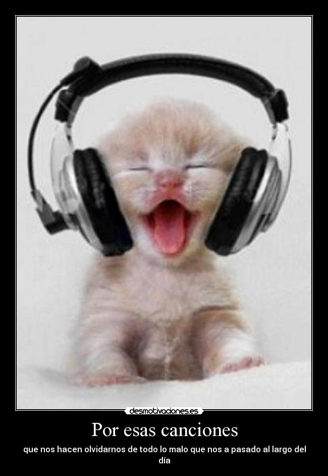 Por esas canciones - que nos hacen olvidarnos de todo lo malo que nos a pasado al largo del día