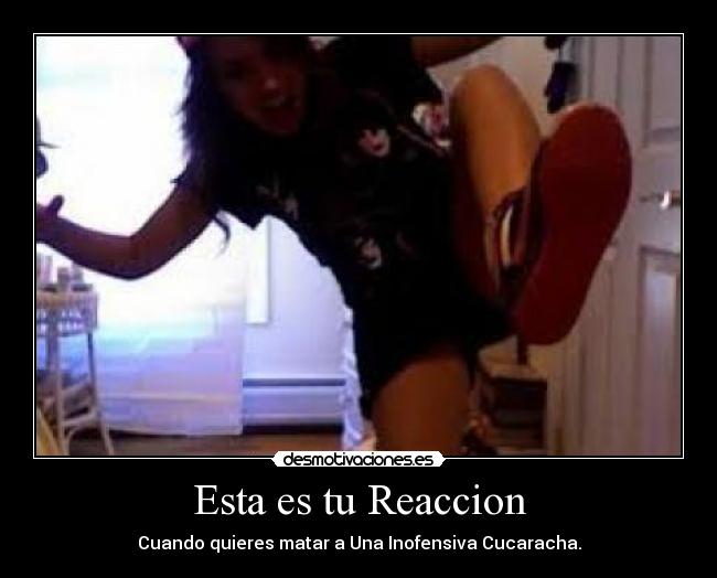 Esta es tu Reaccion -