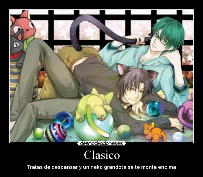 Clasico - Tratas de descansar y un neko grandote se te monta encima