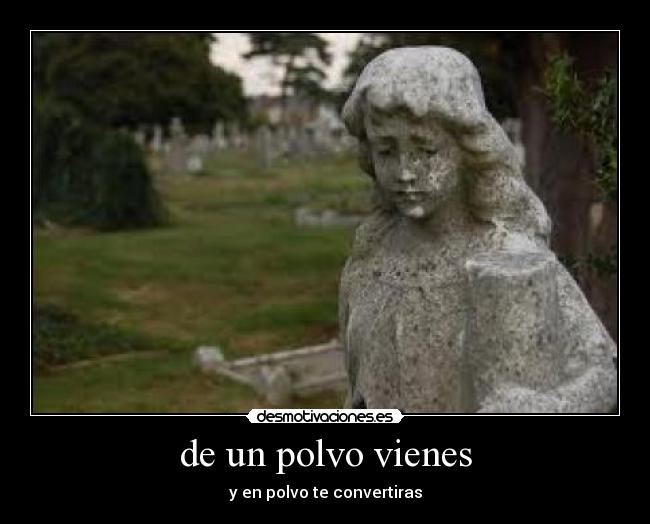 Usuario portags19 Desmotivaciones Usuario portags19 Desmotivaciones