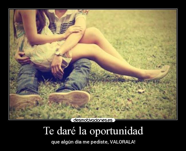Te daré la oportunidad -