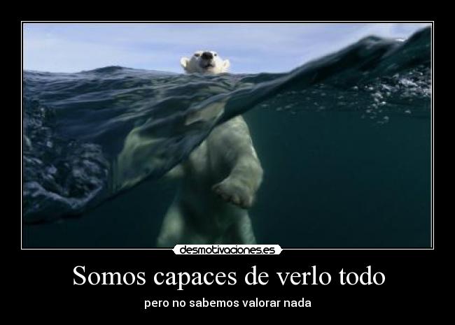 carteles valorar nada ver todo ser capaz saber ely desmotivaciones